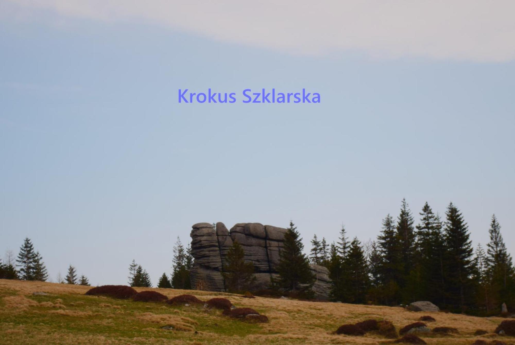Apartament Krokus Szklarska Szklarska Poreba Luaran gambar