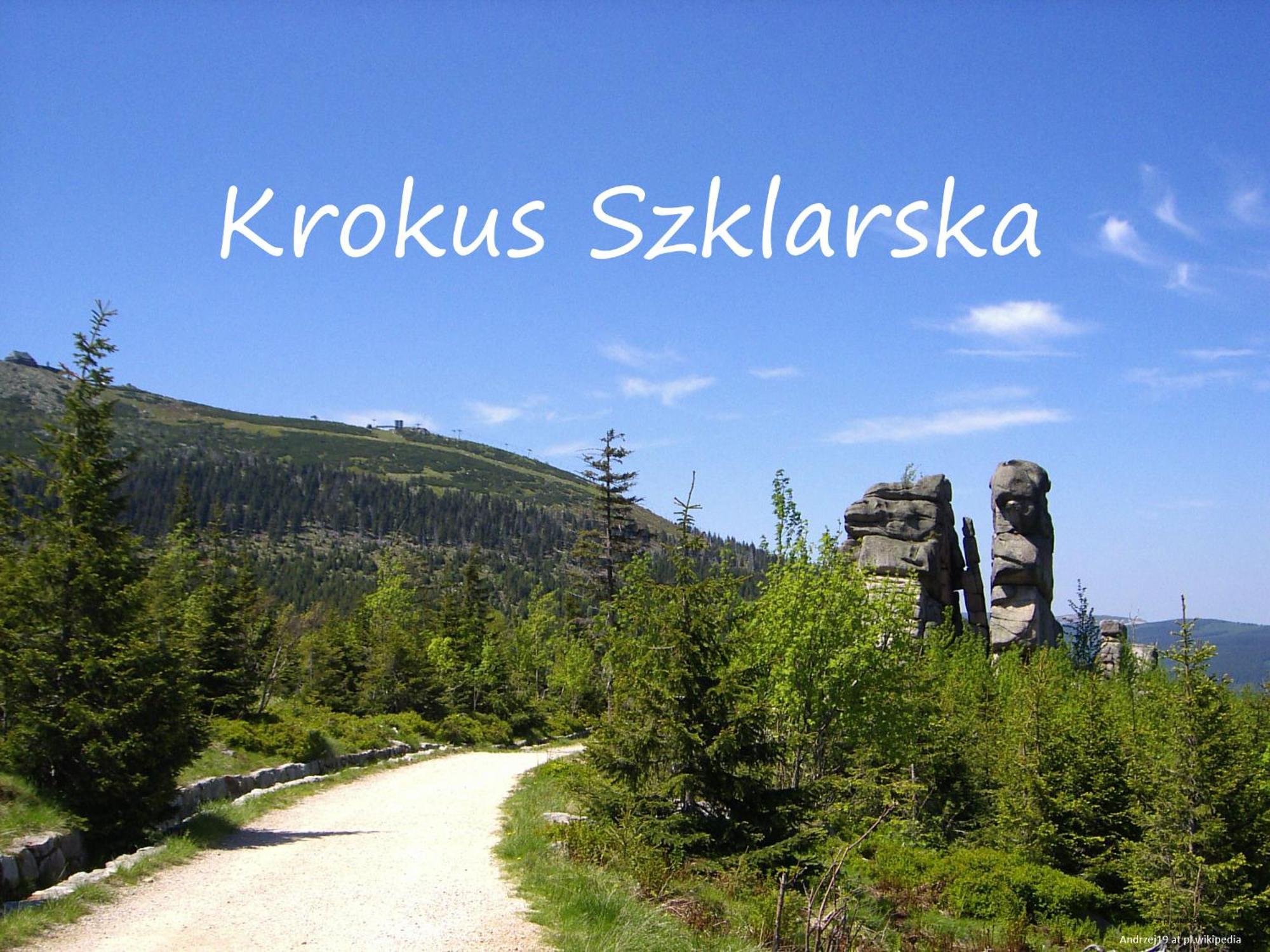 Apartament Krokus Szklarska Szklarska Poreba Luaran gambar